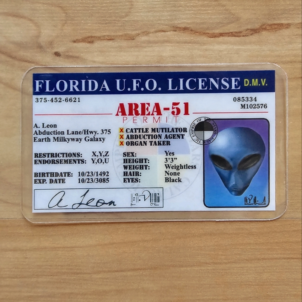 Novelty License Souvenir Florida UFO